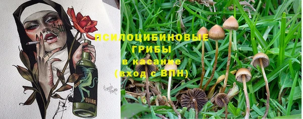 марихуана Фурманов