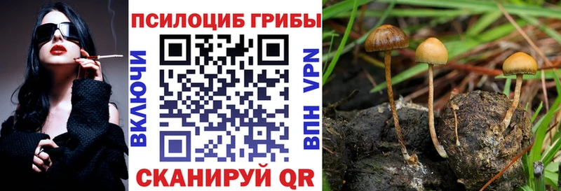 Псилоцибиновые грибы MAGIC MUSHROOMS продажа наркотиков Нефтекамск