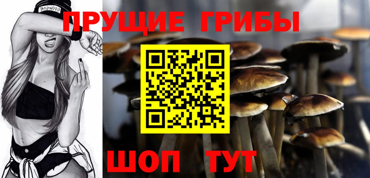Галлюциногенные грибы Psilocybine cubensis Нефтекамск