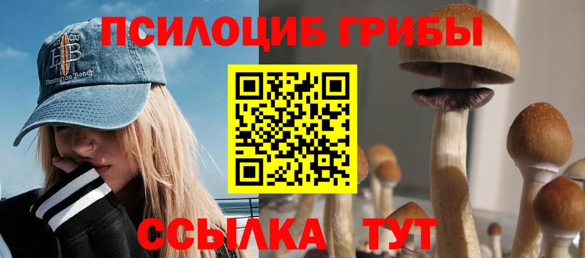Нефтекамск  Псилоцибиновые грибы Psilocybine cubensis  купить  сайты  Вход с VPN 